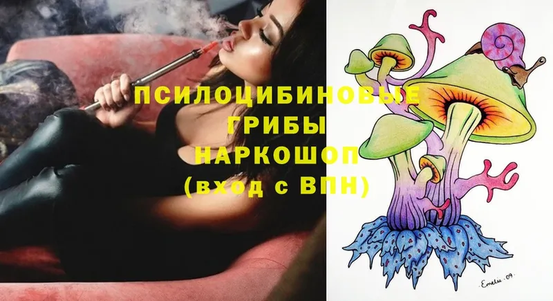 Галлюциногенные грибы Cubensis Кудымкар