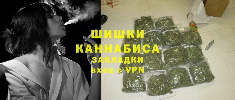 купить наркоту  Кудымкар  Бошки Шишки Amnesia 